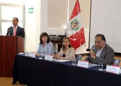SOCIEUX+ in Peru: Promoting green jobs