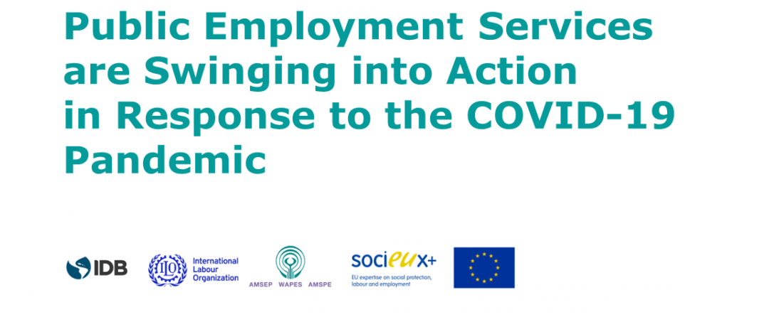 Joint Survey on Public Employment Services during COVID-19