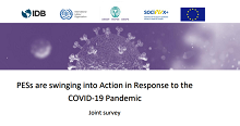 Summary report on the impact of COVID-19 on public employment services released