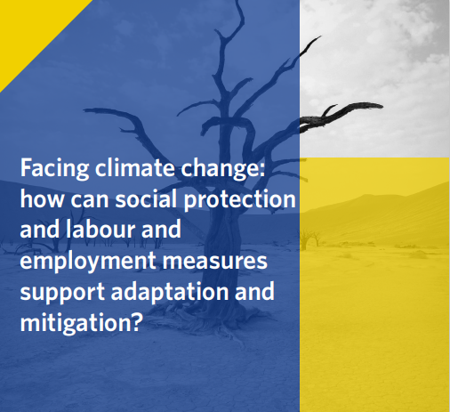 SOCIEUX+ Metapaper 1: Facing climate change: how can social protection and labour and employment measures support adaptation and mitigation?